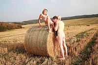 Dominika and havel Dominika and havel