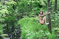 Stroll along a forest Stroll along a forest