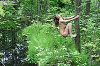 Stroll along a forest Stroll along a forest