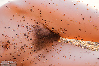 Dirty with sand Dirty with sand