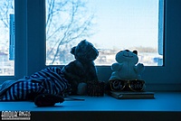 Buzzing beauty Buzzing beauty