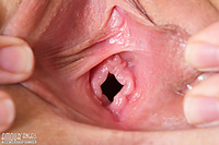 Show me the way Show me the way