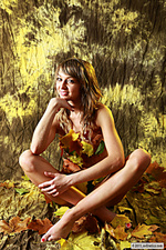 Autumn strokes Autumn strokes