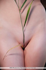 Shy teen nude teens femjoy Shy teen nude teens femjoy