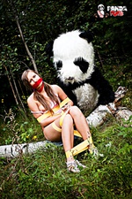 Petite teen panda fuck Petite teen panda fuck