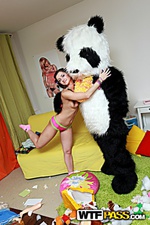 Free pics teen panda fuck Free pics teen panda fuck