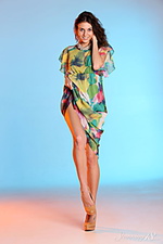 Pure model link fine dream image Pure model link fine dream image