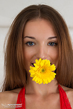 Flower power Flower power