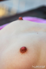 Petite dreams Petite dreams